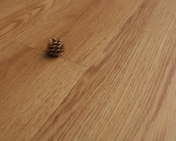 English Oak
