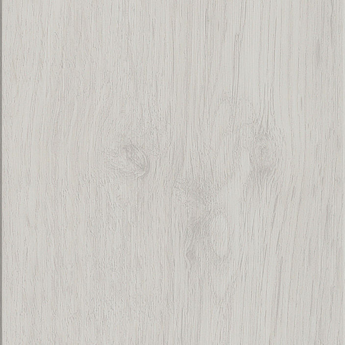 Arctic Maple